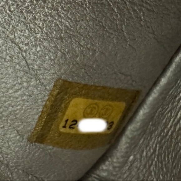 Chanel 2.55 Reissue 226 Silver Flap Bag - Picture 15 of 15